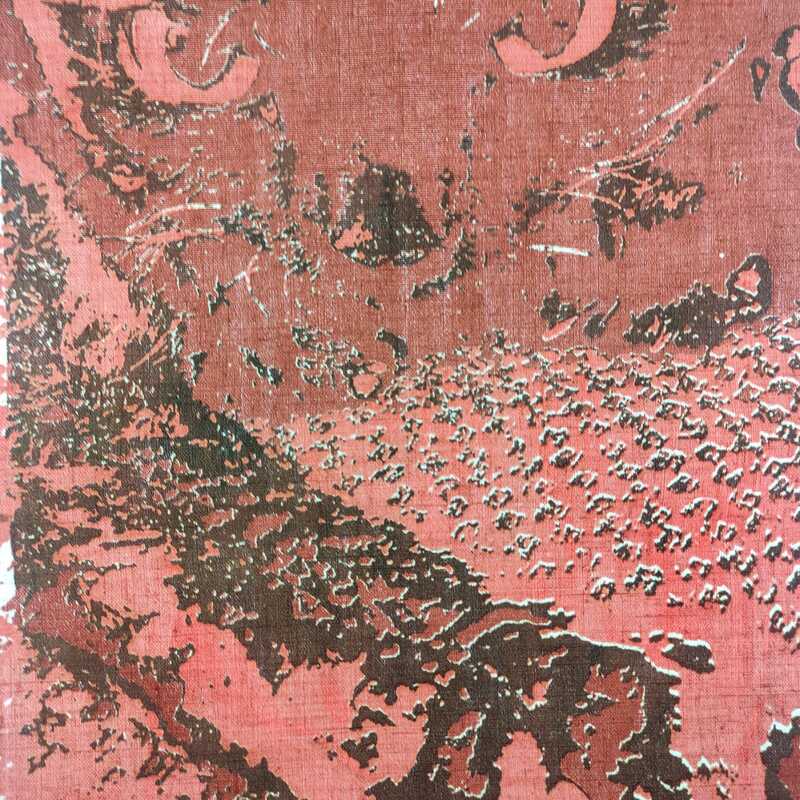 LSDwin 4, Siebdruck,  2022